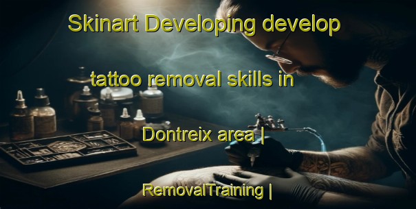 Skinart Developing develop tattoo removal skills in Dontreix area | RemovalTraining | RemovalClasses | SkinartTraining-France